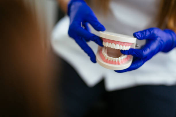 Why Choose Us for Your Dental Needs in Fruitland, MD